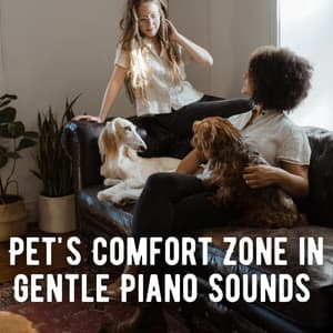 Pet's Comfort Zone in Gentle Piano Sounds - Relaxing Jazz Piano