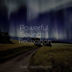 Powerful Sounds | Relaxation - Sleep Songs 101