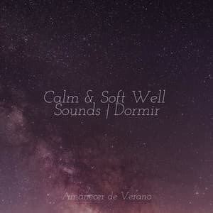 Calm & Soft Well Sounds | Dormir - Musica para Meditar