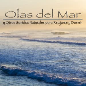 Olas del Mar y otros Sonidos Naturales para Relajarse y Dormir - Naturaleza Ensemble