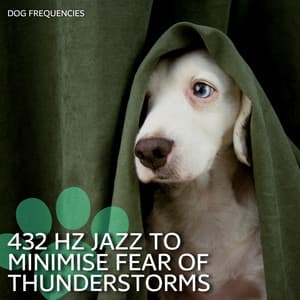 432 Hz Jazz to Minimise Fear of Thunderstorms - Dog Frequencies