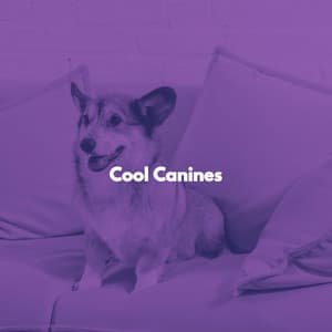 Cool Canines - Restaurant Jazz Classics
