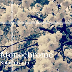 Monochrome - Splash Guitar