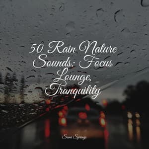 50 Rain Nature Sounds: Focus Lounge, Tranquility - Restless Baby Music