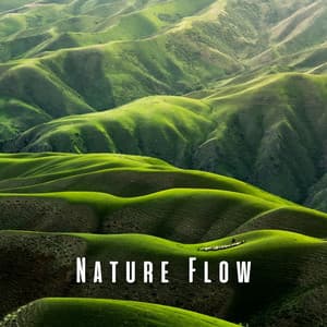 Nature Flow: Uninterrupted Focus with Binaural Beats - Music for Focus and Concentration