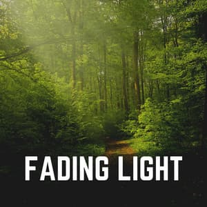 Fading Light - Worldwide Nature Studios