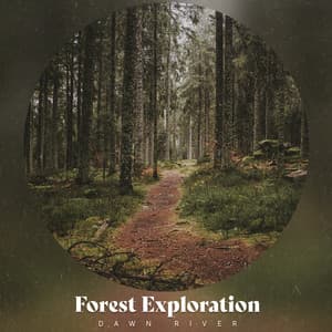 Forest Exploration - Dawn River