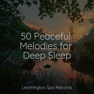 50 Peaceful Melodies for Deep Sleep - Binaural Beats