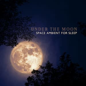 Under the Moon: Space Ambient for Deep & Restorative Sleep, Meditation before Bedtime, Sleep Aid Music - Deep Sleep Music Academy