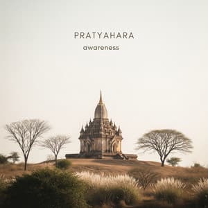 Pratyahara Awareness - Noah Dhamoren