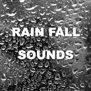 Rain Fall Sounds - Wind and Rain Sounds