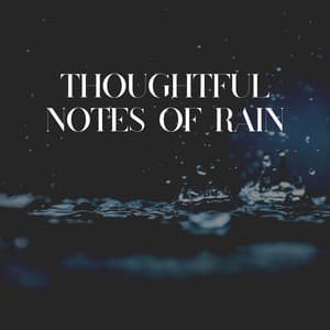 Thoughtful Notes of Rain - The Sound Of The Rain