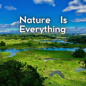 Nature Is Everything - Weather Garden
