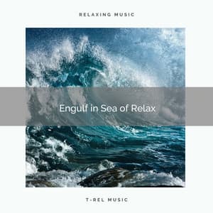 ! ! ! ! ! ! Engulf in Sea of Relax - Ocean Sounds Collection