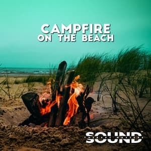 Campfire on the Beach - Yanan Time