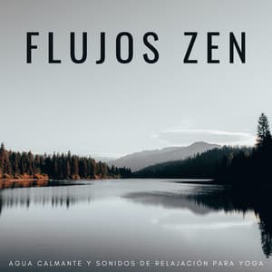 Flujos Zen: Agua Calmante Y Sonidos De Relajación Para Yoga - Sonidos relajantes del agua