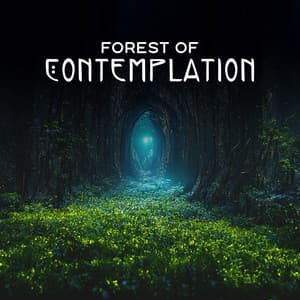 Forest of Contemplation: Tranquility, Self-Reflection, Quiet the Mind - Natural Meditation Guru