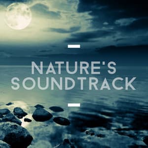Nature's Soundtrack - Nature's Mystic Moods