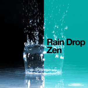 Rain Drop Zen - Musica para Bebes