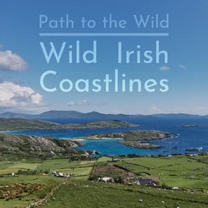 Wild Irish Coastlines - Path to the Wild