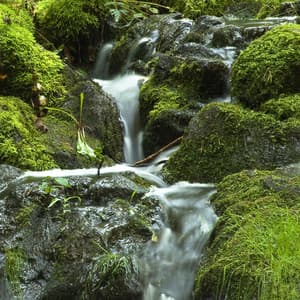 Water - The Relaxing Sounds of Swedish Nature