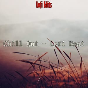 Chill Out - Lofi Beat - Lofi Edits
