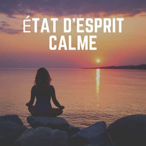 État D'esprit Calme - Zen Musique Détente