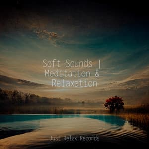Soft Sounds | Meditation & Relaxation - Bedtime Lullabies