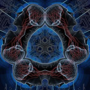 Deep Mind-Body Synchronization: Tuning Compassion Frequencies for a Holistic Emotional Reset - Johny Brainy