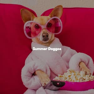 Summer Doggos - Relaxing Jazz Nights
