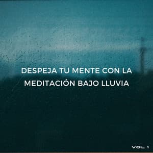 Despeja Tu Mente Con La Meditación Bajo Lluvia Vol. 1 - Meditaciones de lluvia
