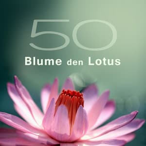 50 Blume den Lotus - Musik für Entspannung, Meditation, Yoga & Spa und Massage, Moment für Sie - Tiefenentspannung Academy