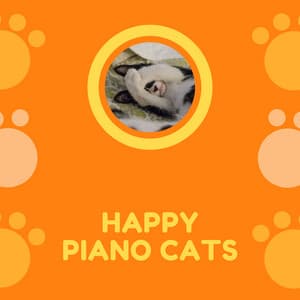 Happy Piano Cats - Cat Music