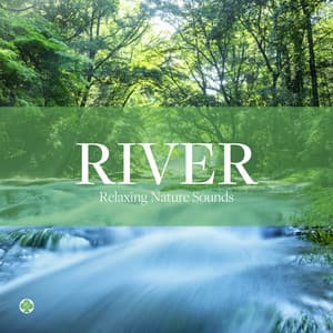 せせらぎ　自然音の癒し - ヒーリング・ライフ