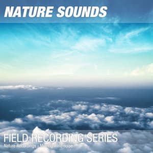 Nature Recordings - Moving wind noise - Nature Sounds