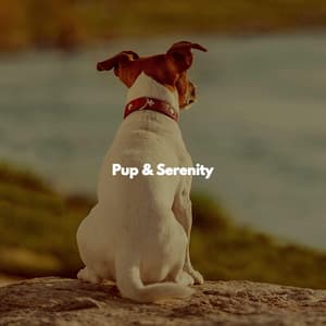 Pup & Serenity - Morgen Jazz Ambiente