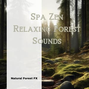 Spa Zen: Relaxing Forest Sounds - Natural Forest FX