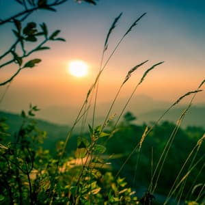 Tranquil Realms: A Symphony of Nature's Grace - Ambient Tech