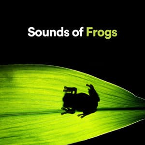 Sound of Frogs - Nature Sounds