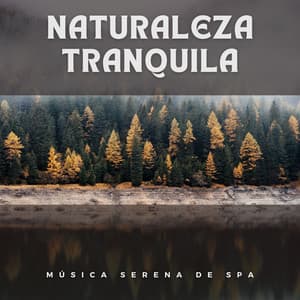 Naturaleza Tranquila: Música Serena de Spa - Naturaleza FX