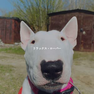 リラックス・ローバー - Super Jazz Cafe Music