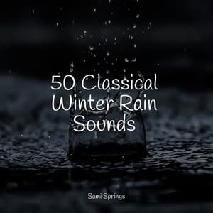 50 Classical Winter Rain Sounds - meditacou musica ambiente