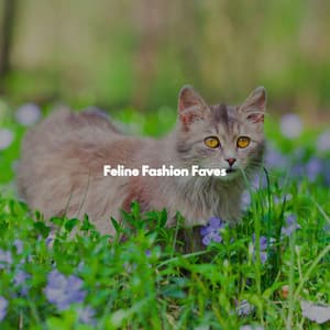 Feline Fashion Faves - Jazz & Study Lounge