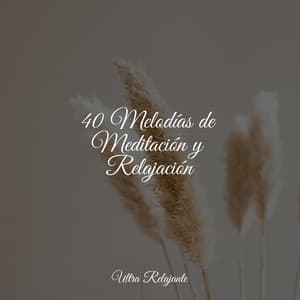 40 Melodías de Meditación y Relajación - Dormir e Meditar
