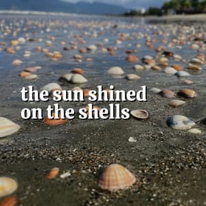 The Sun Shined on the Shells - Nature Of Sweden