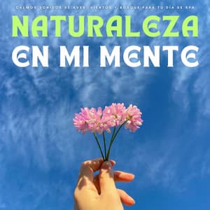Naturaleza En Mi Mente: Calmos Sonidos De Aves, Vientos y Bosque Para Tu Día De Spa - Tranquilidad Eterna
