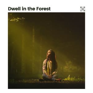 Dwell in the Forest - Nature & Sounds Backgrounds