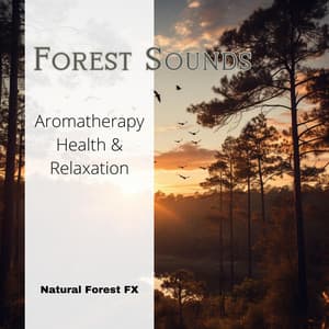 Forest Sounds - Aromatherapy, Health & Relaxation - Natural Forest FX