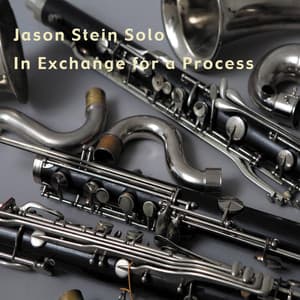 In Exchange for a Process - Jason Stein
