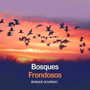 Bosques Frondosos - Bosque Ocupado